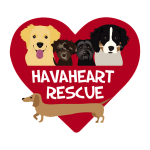 Havaheart Rescue